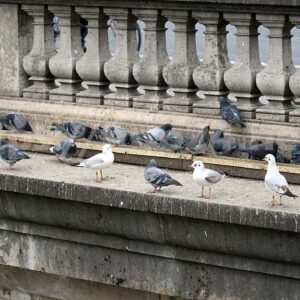 Paris050119_014